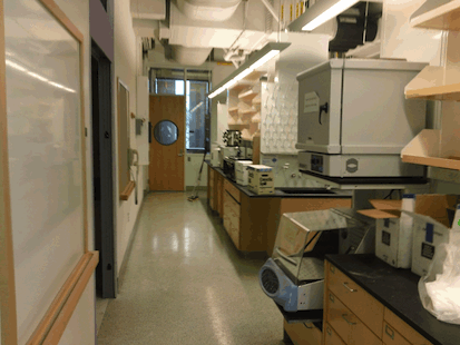 Lab